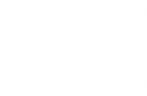 Icon_Wave_White Icon_Wave_White
